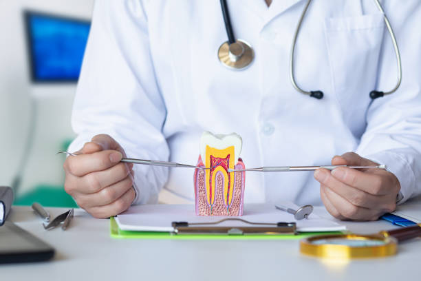 Best Emergency Root Canal Treatment in Perryville, MD